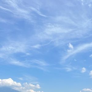 Meet your Posher, Teddybear